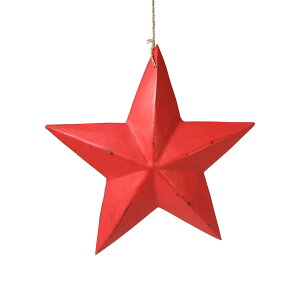 EbhJ[rO X^[ L yNX}Xzy  star 傫 S[h Vo[ xmas Christmas ؐ I[ig nhCh c[   킢  AeB[N A G o