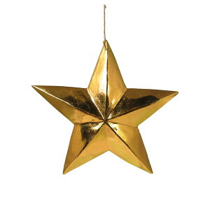 EbhJ[rO X^[ L yNX}Xzy  star 傫 S[h Vo[ xmas Christmas ؐ I[ig nhCh c[   킢  AeB[N A G o