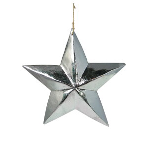 EbhJ[rO X^[ L yNX}Xzy  star 傫 S[h Vo[ xmas Christmas ؐ I[ig nhCh c[   킢  AeB[N A G o