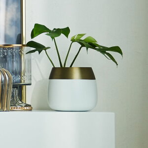 STCY [Re:EDIT HOME]Imv^[S fB[X / Im v^[ Aؔ v^[|bg ~j} Vv [s\]