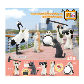 【新品】エール にゃんこチャンネル：BOX《10個入》【宅配便】