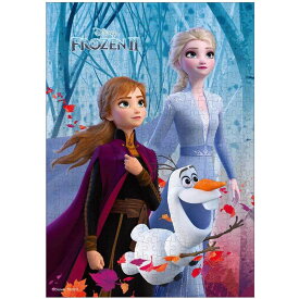 【新品】ジグソーパズル ディズニー アナと雪の女王2 隠された秘密 300ピース(30.5x43cm)【宅配便】