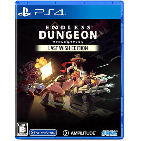 【新品】PS4 ENDLESS DUNGEON LAST WISH EDITION【メール便】