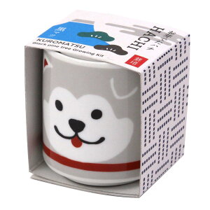 V| t / H ̂Ђ뉀 ܂ߖ~ ~̓Lbg ~j ͔|Lbg Ă  ȒP ͔|Zbg ( R ) ̌a4cm ł傱 n` O[ ̓ v[g a