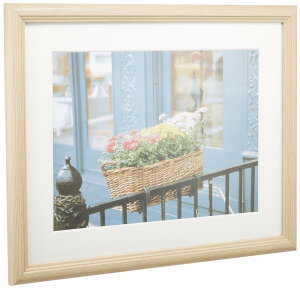 FUJICOLOR �z�� YM-3 �ؒn A4 �ؐ� �x�[�W�� 59269