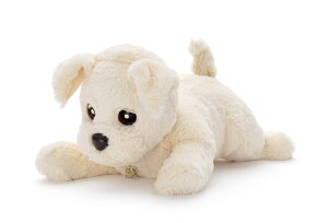 ^Jg~[ q[Op[gi[V[Y Ƃ肱_bL[ oj F J[ ]g  F ׂ ybg  FmǑ΍