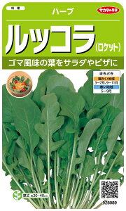 TJ^̃^l n[u8089 bR(Pbg) n[u 00928089