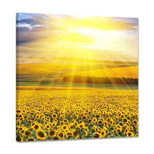 Ђ܂ |X^[  A[gpl  G CeA zt A Ǌ| Ԃ̊G  G Ǌ|i ؘgt̊i (50x50cm)