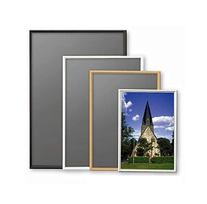 �|�X�^�[�t���[�� �V�F�C�v OG�e�S �i600x900mm�j�V���o�[