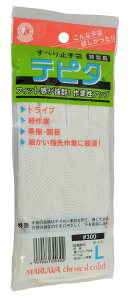 ۘaP~J yƗp ɔ ׂ~ߕt es^ LTCY  1o #300