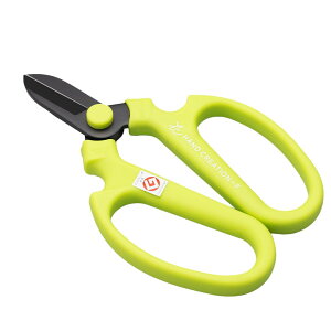 ⌹(Sakagen)  nhNG[V F170 tbfR[eBO 17×11cm { CO[ 62142