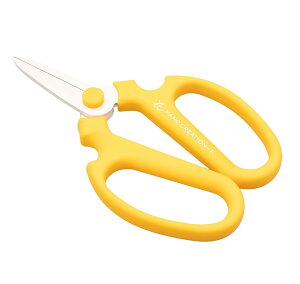 ⌹(Sakagen)  nhNG[V F180 tbfR[eBO 18×11cm { CG [ 13143