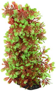 eg (Tetra) tLVuvg FP-6 lH ANZT[ 