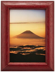 FUJICOLOR �z�� �f�W�t�H�g�t���[��D3 ���[�Y L �ؐ� ���b�h 66716