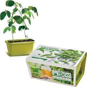 V| t / H ƒ؉ ȒP ͔|Lbg Ă ܂  ͔|Zbg ( R / H ) 24×15cm ENJOY PLANTER VEGE ̓ v[g a GD-93101