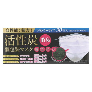 (PM2.5Ή)͊YtB^[ Y}XN30