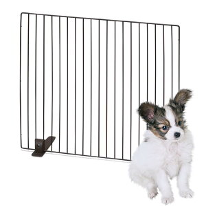 ACXI[} ybgtFX P-SPF-66 zCg 60×55cm(nC^Cv)