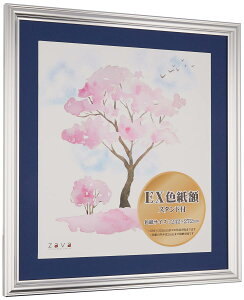 ���� VANJOH EX�F���z �V���o�[ (�}�b�g��) 106640 �X�^���h�t