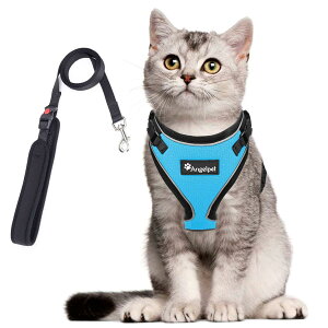 �L �L�p �n�[�l�X ���� �L�� �˂� �l�R �q�L �q�� ���^�� �U�� ���o���� �����Ȃ� �x�X�g �\�t�g������ �y�� ����ʂ����}�W�b�N�e�[�v�ő��� �T�C�Y���߉� �锽�� �ʋC���b�V�� (XS�T�C�Y (x 1