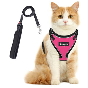 �L �L�p �n�[�l�X ���� �L�� �˂� �l�R �q�L �q�� ���^�� �U�� ���o���� �����Ȃ� �x�X�g �\�t�g������ �y�� ����ʂ����}�W�b�N�e�[�v�ő��� �T�C�Y���߉� �锽�� �ʋC���b�V�� (XS, ���[�Y�s