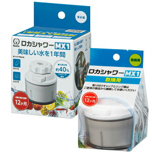 N^bN JV[MX1 ֗p1t zCg ֌Ɏt 1Ng f ߐʂ 040028