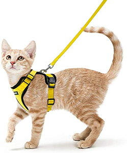 Rabbitgoo L n[lX [h Zbg Ȃ \tg y ^ ^ L U p n[lX  グ TCY߉ 锽 ʋCbV Pݖh~ L U R 