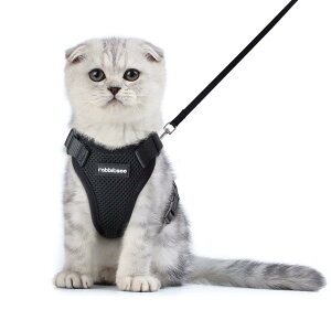 Rabbitgoo �L �n�[�l�X ���[�h �Z�b�g ���^�� ���L���p �����Ȃ� �́[�˂� �\�t�g������ �y�� �����グ���������� �T�C�Y���߉� �l�R �U�� �R �锽�� �ʋC���b�V�� �P���ݖh�~ ���� �x�X�g ��[