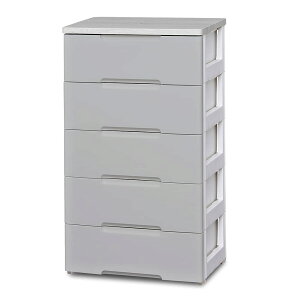 �A�C���X�I�[���} �`�F �X�g 5�i �͂��Ă����g���銮���i �ؓV�� �v���X�`�b�N ���[�P�[�X ��56×���s41.5×����100cm �����o�� �E�b�h�`�F �X�g HG-555R �X���[�L�[�O���[/�z���C�g �g���s�v