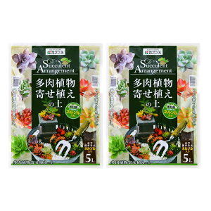 Ԃ A񂹐A̓yyl\tz 5L×2