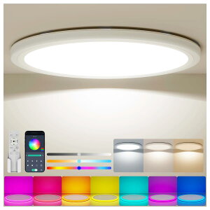 Coizabera LED�V�[�����O���C�g 10�� 5200lm �Ԑڌ�RGB�J���[ �� �������F �ɔ��^ �V��Ɩ���� ������� �d�C �u���� ���͋C���C�g �����R���t�� 8�� 10�� �Q��/���r���O/�_�C�j���O/�q������/�Q�[��