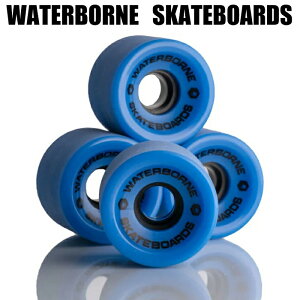 EH[^[{[ T[tXP[gEB[ 62mm LIVING WATER SURFSKATE WHEELS