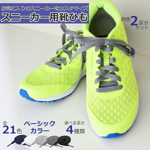 yԌP5{ 12/11()01:59z CR CЂ  F ѕ R ^ V[[X Xj[J[ [Jbg nCJbgR 8mm 100cm 120cm 140cm 160cm x[VbNJ[ _C Ђ F2