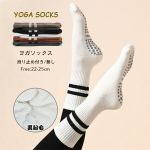 yԌSi10%OFFzK\bNX K seBX N fB[X C X|[c jO K }\ ejX St ~ X|[cEFA  X[c ʋCQ ~ ۉ f