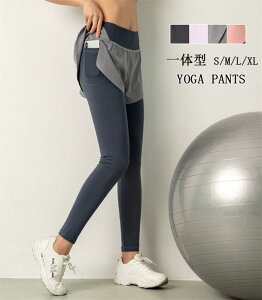 yԌSi10%OFFzKEFA pct MX fB[X V[gpc ̌^ K X|[cEFA tBbglX g[jO {fB[VFCv Kpc r 