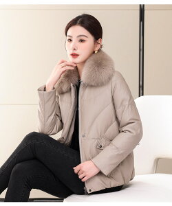 U[ _ER[g fB[X {v V[gR[g tHbNXt@[  U[ U[R[g R[g OR[g ~ ꂢ _E 傫TCY g h AE^[ _E