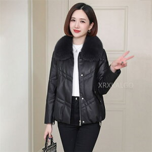 U[ _ER[g fB[X {v V[gR[g tHbNXt@[  U[ U[R[g R[g OR[g ~ ꂢ _E 傫TCY g h AE^[ _E