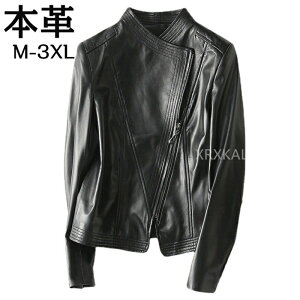 yԌSi10%OFFzU[WPbg U[ {v fB[X ~ V[g C_[XWPbg `FX^[R[g vW U[R[g ubN fB[X { AE^[V