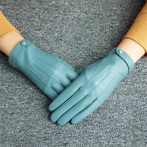 yԌSi10%OFFz fB[X ~ Ԃ {v U[ p { hO[u  5{w܁@~ ^b`pl@N g t@bV ʋ 