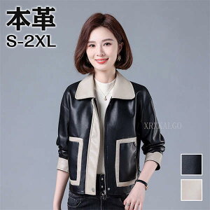 yԌSi10%OFFzU[WPbg U[ {v fB[X t V[g C_[XWPbg `FX^[R[g vW U[R[g { AE^[V[gR[g 2024 M L XL X