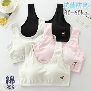 qpuW[ ̎q WjAu LbY Pi n[tgbvuW[ mC[ X|[cuW[ qpuW[  K Sn w w  Ci[  W