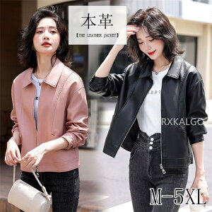 U[WPbg {v fB[X ~ V[g `FX^[R[g g`R[g U[R[g ubN fB[X {v V[gR[g  U[ R[g ~ ꂢ M L XL X