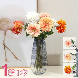  _A 3F A tFCNt[ CeA 11{ ԑ u[P ֑}  AW {  VNt[ sN CG[ _[Nbh zCg _ Ce