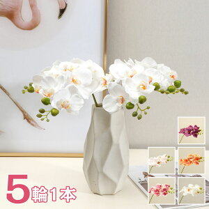 yԌSi10%OFFz Ӓ 5F A tFCNt[ CeA 51{ ԑ u[P ֑}  AW {  VNt[ sN CG[ _[Nbh z