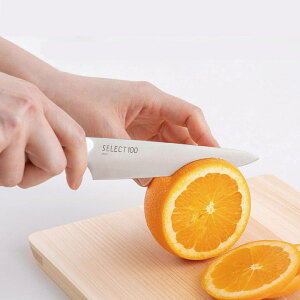 L ZNg100 Lb`iCt V[g 120mm RpNg X  SELECT100 000AB5062