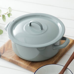 ~_[ POT WITH LID 20cm Gi z[[  nh  KX IH 2.6 Lbgnh Tu}u[  ubN O[ ssw2024 scs24_ol