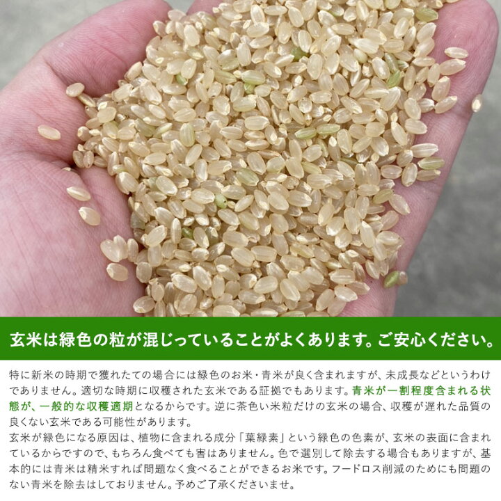 楽天市場】減農薬栽培 自家米「金助谷 きぬ」滋賀県農家より直送 令和7 