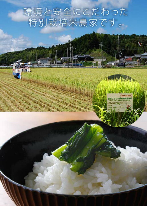 楽天市場】減農薬栽培 自家米「金助谷 きぬ」滋賀県農家より直送 令和7 