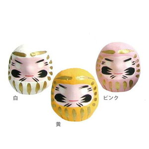 y2FCz _} B sN zCg CG[ 3_Zbg N̗ǂ QS ObY ssw2024 scs24_ol