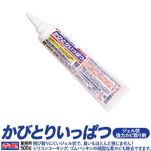 ŋJr܁IтƂꔭ Ɩp  500gy202209ss20z