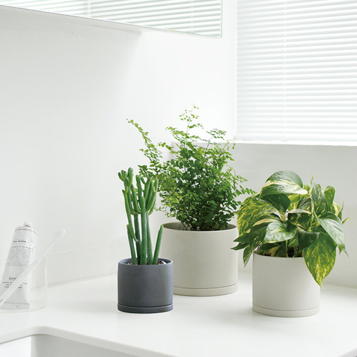 楽天市場 キントー Kinto プラントポット 191 135mm アースgy ガーデニング プラント 植木鉢 オシャレ 観葉植物 受け皿セット 植え替え 庭 玄関 インテリア小物 キッチン雑貨shopガンバレ奥さん